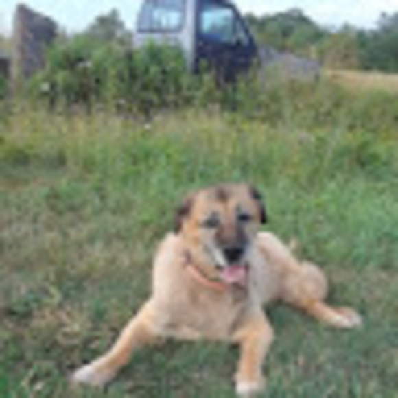 Meet your Posher, Robyn - Picture 1 of 1